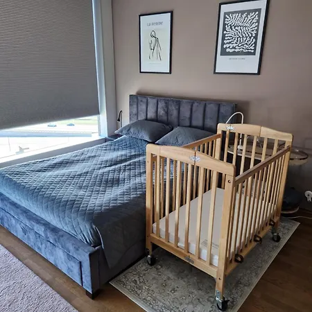 Revalia Fahle Airport Bus-station With Views 公寓 塔林